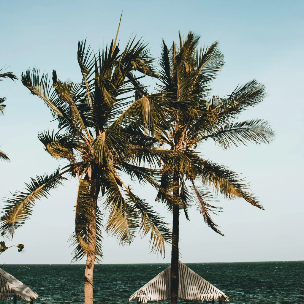 Malindi beach accommodation