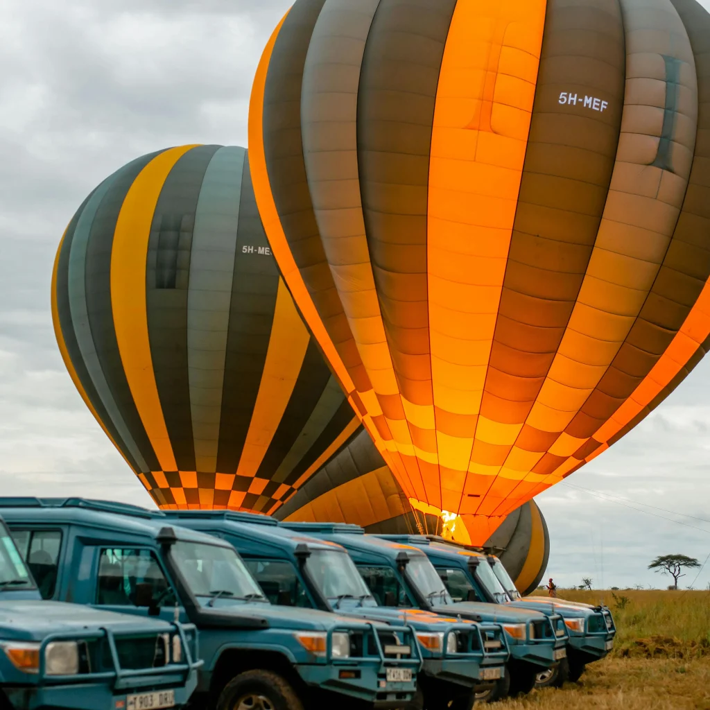 Serengetti National Park, masai mara national reserve