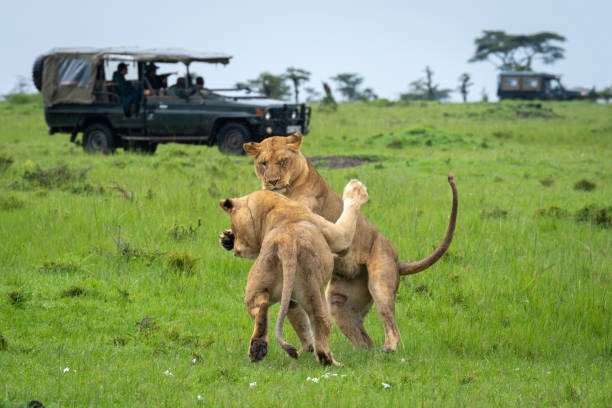 eco-tourism kenya