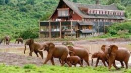 aberdare Lake Nakuru Tour Safari Online Booking at Crystal Tours Kenya