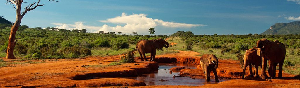 tsavo west luxury safari
