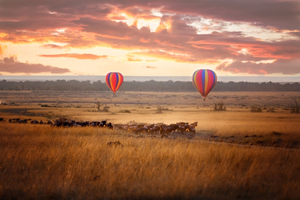 8-Day Kenya Tanzania Migration Safari