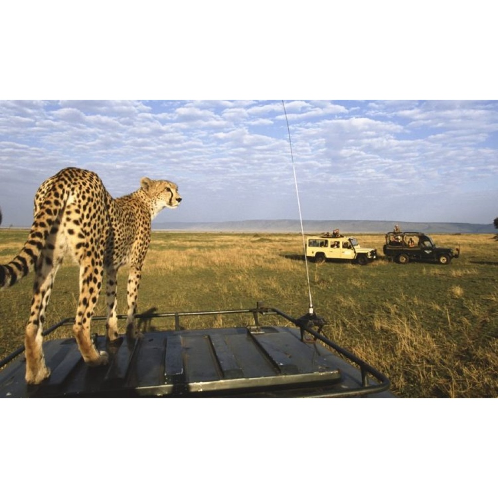 3 Days Masai Mara Private Safari