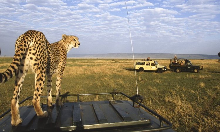 3 Days Masai Mara Private Safari
