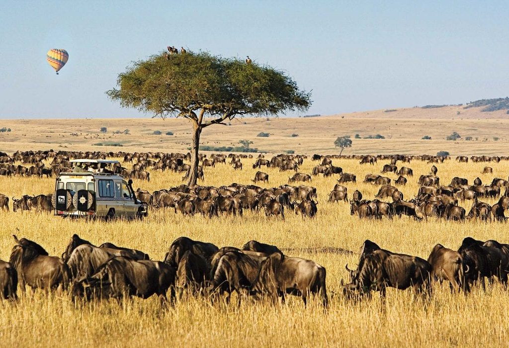 masai mara conservancies