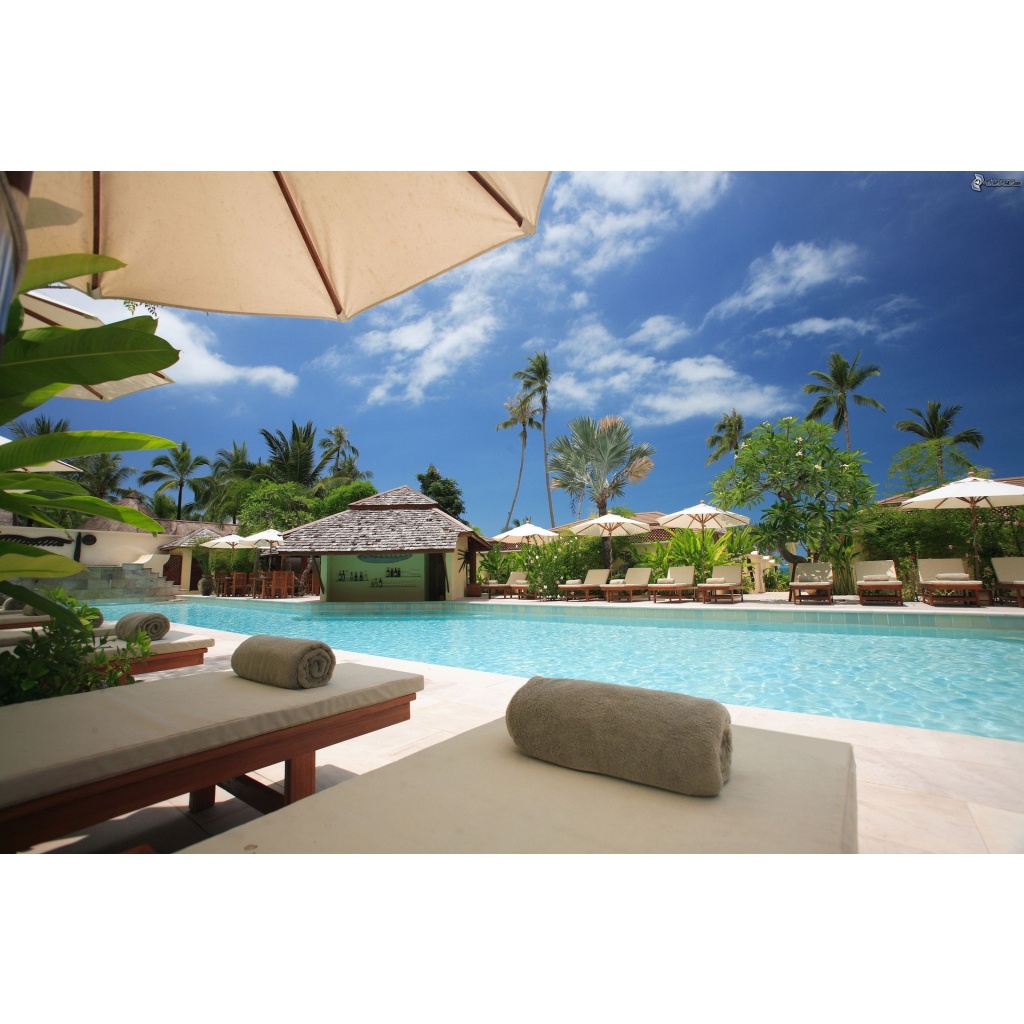 Diani Sea, diani beach holiday package, Kenya wildlife and beach vacation