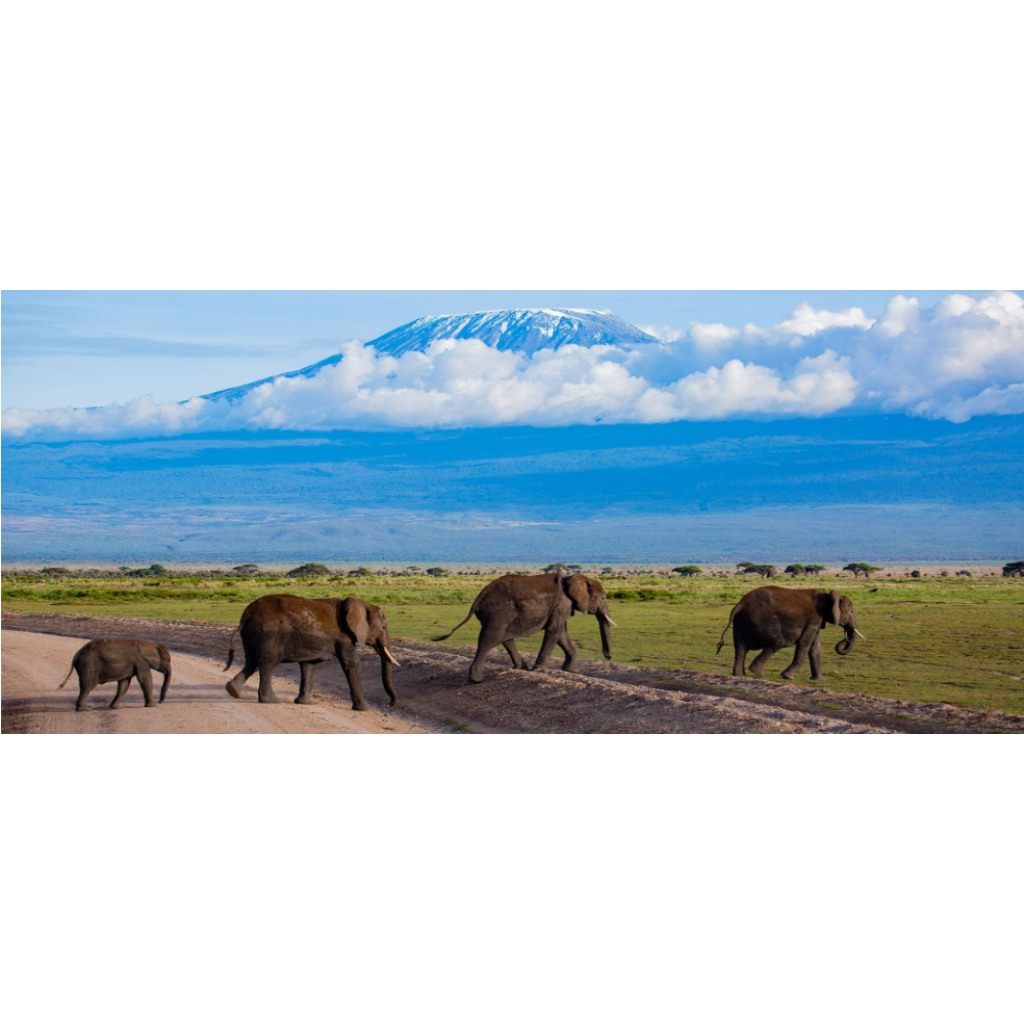 11-Day East Africa Safari