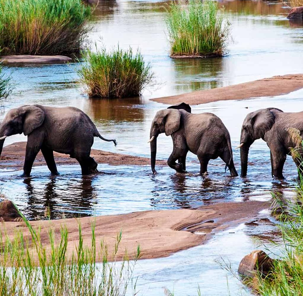 3 Days Saruni Basecamp Masai Mara Safari, masai mara safari package