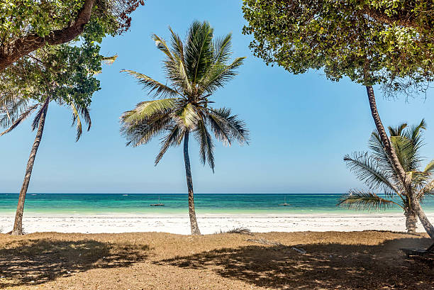 Watamu & Malindi Beach Getaways