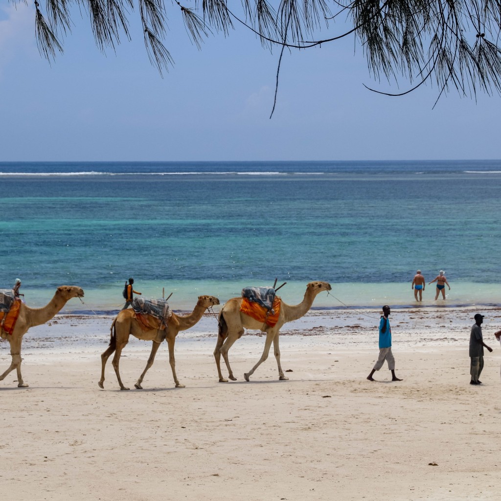South Coast Diani Beach Getaway Luxury Beach Holiday Kenya, kenya bush and beach safari, Diani beach safari package
