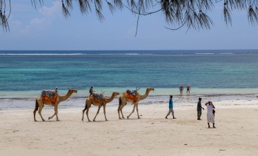 South Coast Diani Beach Getaway Luxury Beach Holiday Kenya, kenya bush and beach safari, Diani beach safari package