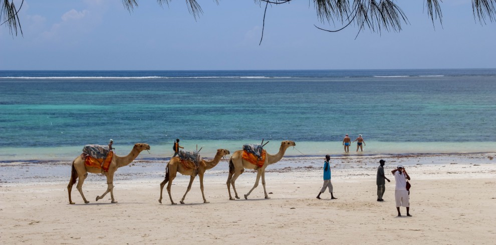 South Coast Diani Beach Getaway Luxury Beach Holiday Kenya, kenya bush and beach safari, Diani beach safari package