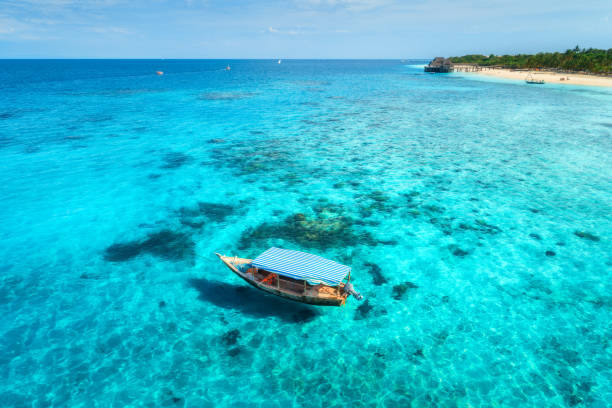 Classic Reef Tour Zanzibar | Discover Bawe Island’s Underwater Magic