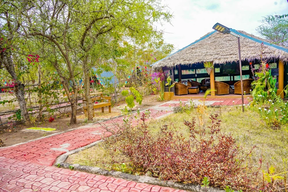 Eliata Bush Camp Kajiado – Safari Stay & Wildlife Experience in Kenya
