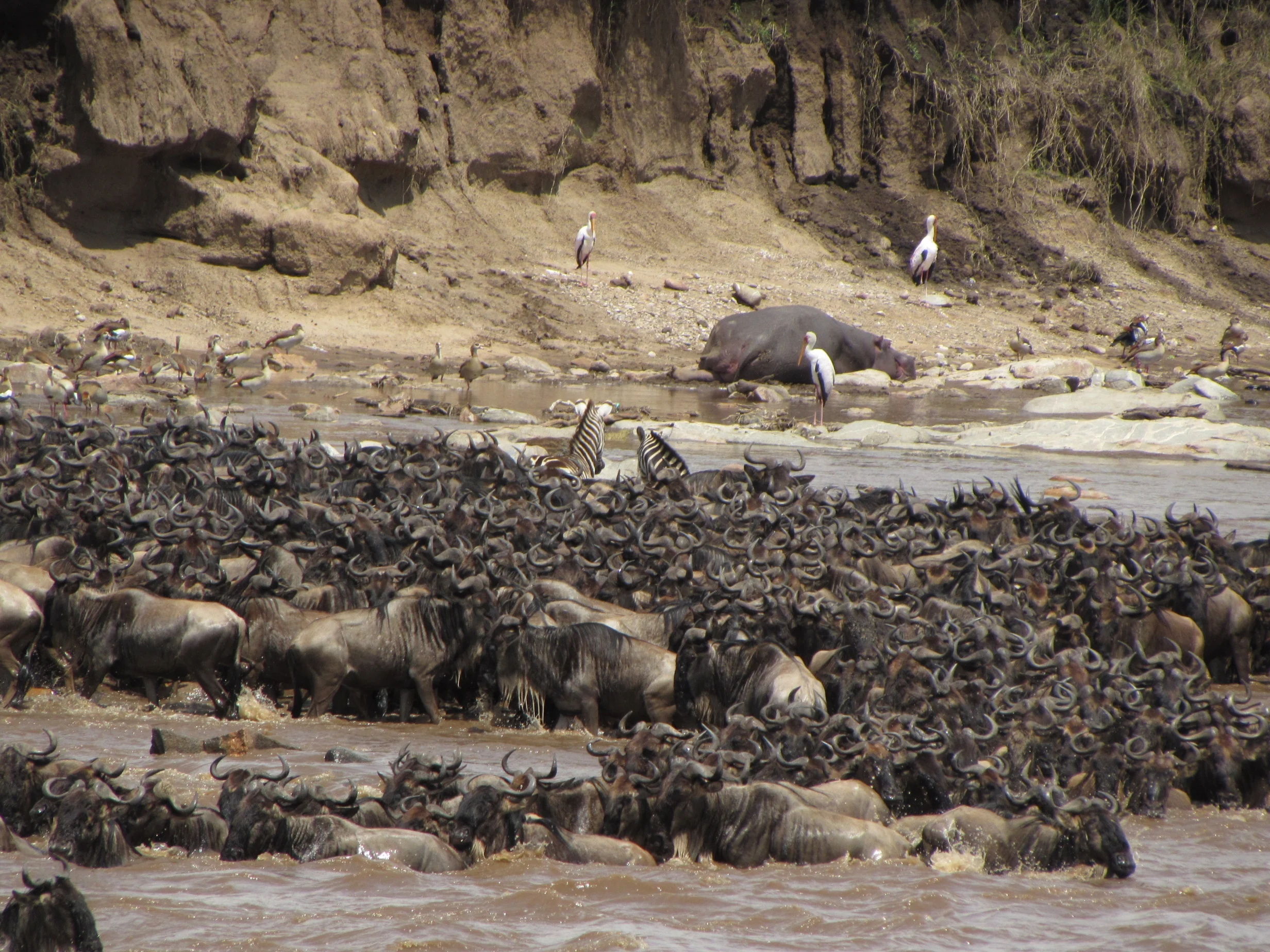 Masai Mara National Reserve, luxury kenya safari package