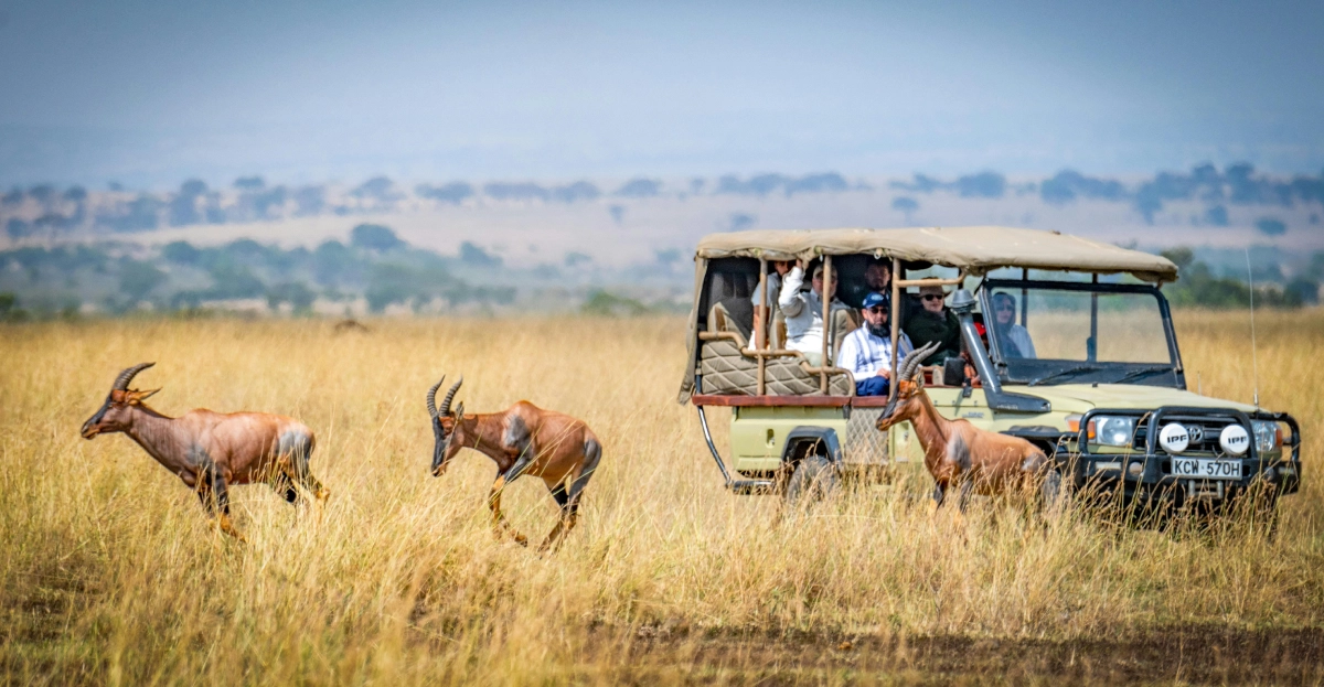Masai Mara conservancies