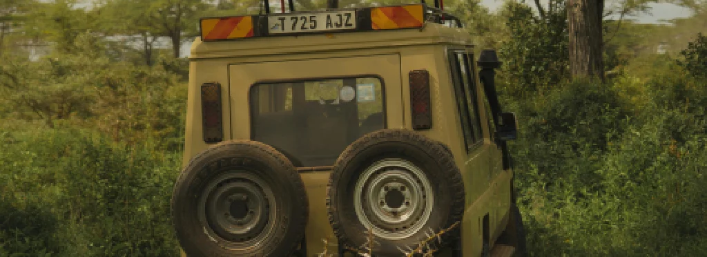 Overland safaris