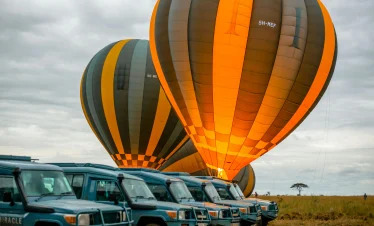 Serengetti National Park, masai mara national reserve, serengeti wildlife, Serengeti Luxury Safari, Luxury Serengeti safari, serengeti safari, East Africa safari, East Africa Year-Round Migration Safari