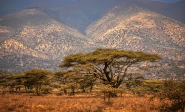 8-Day Tanzania Safari