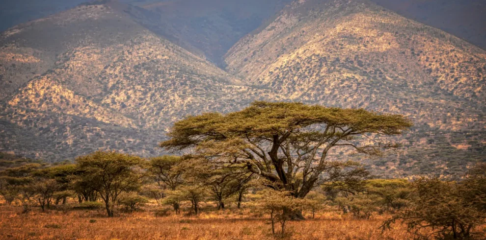 8-Day Tanzania Safari
