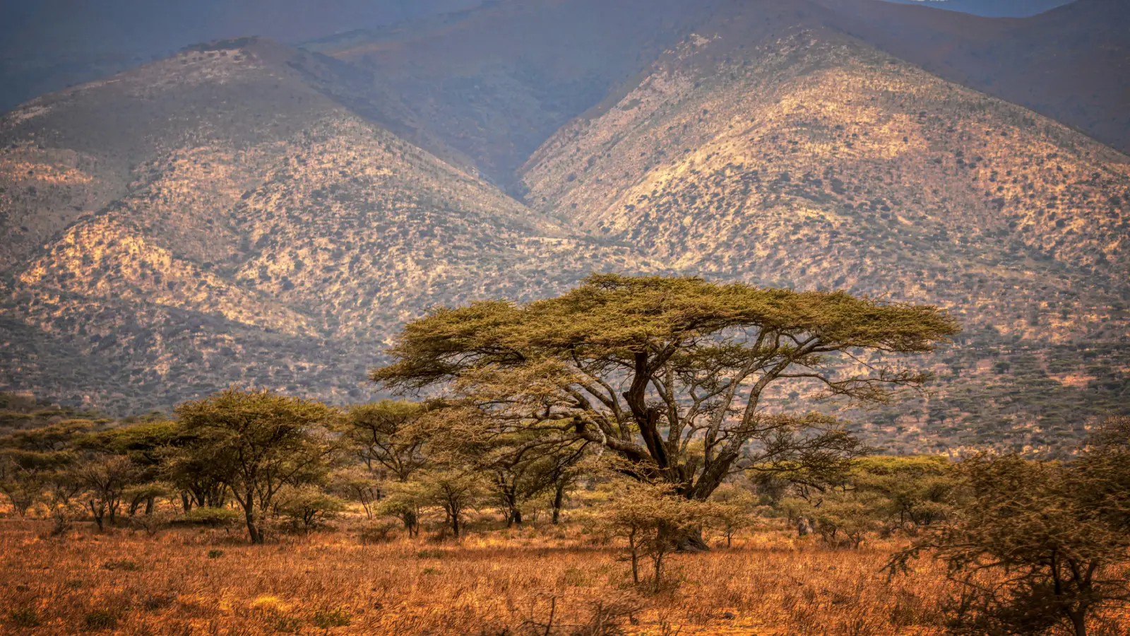 8-Day Tanzania Safari