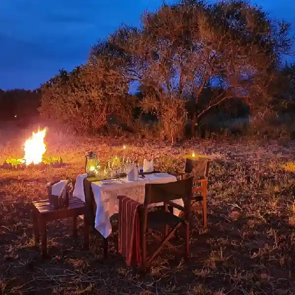 Wellworth Tarangire Kuro Treetops Lodge Hotel Booking by Crystal Tours Kenya (3)