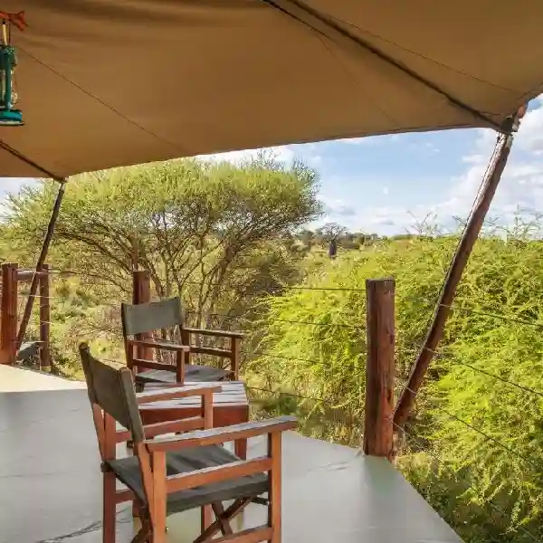 7-Day Northern Tanzania Safari