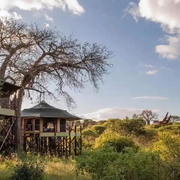 Wellworth Tarangire Kuro Treetops Lodge Hotel Booking by Crystal Tours Kenya