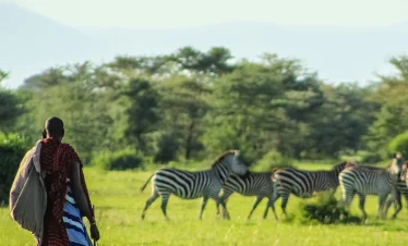 best conservancies in masai mara, 4-Day Luxury Kenya Safari