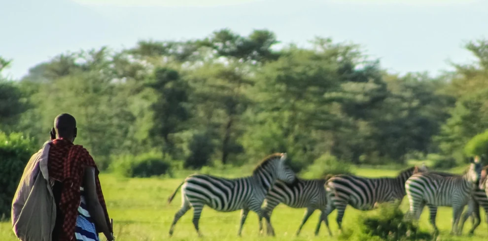 best conservancies in masai mara, 4-Day Luxury Kenya Safari