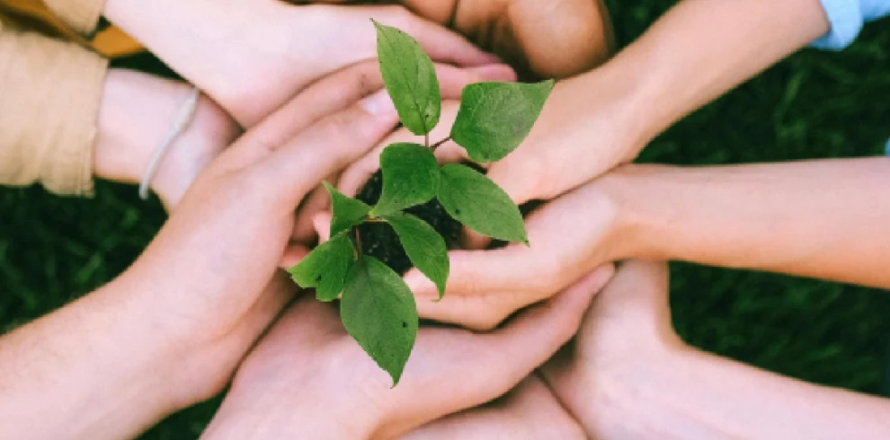 corporate social responsibility, ol pejeta safari, Tanzania Hands-On Conservation Safari