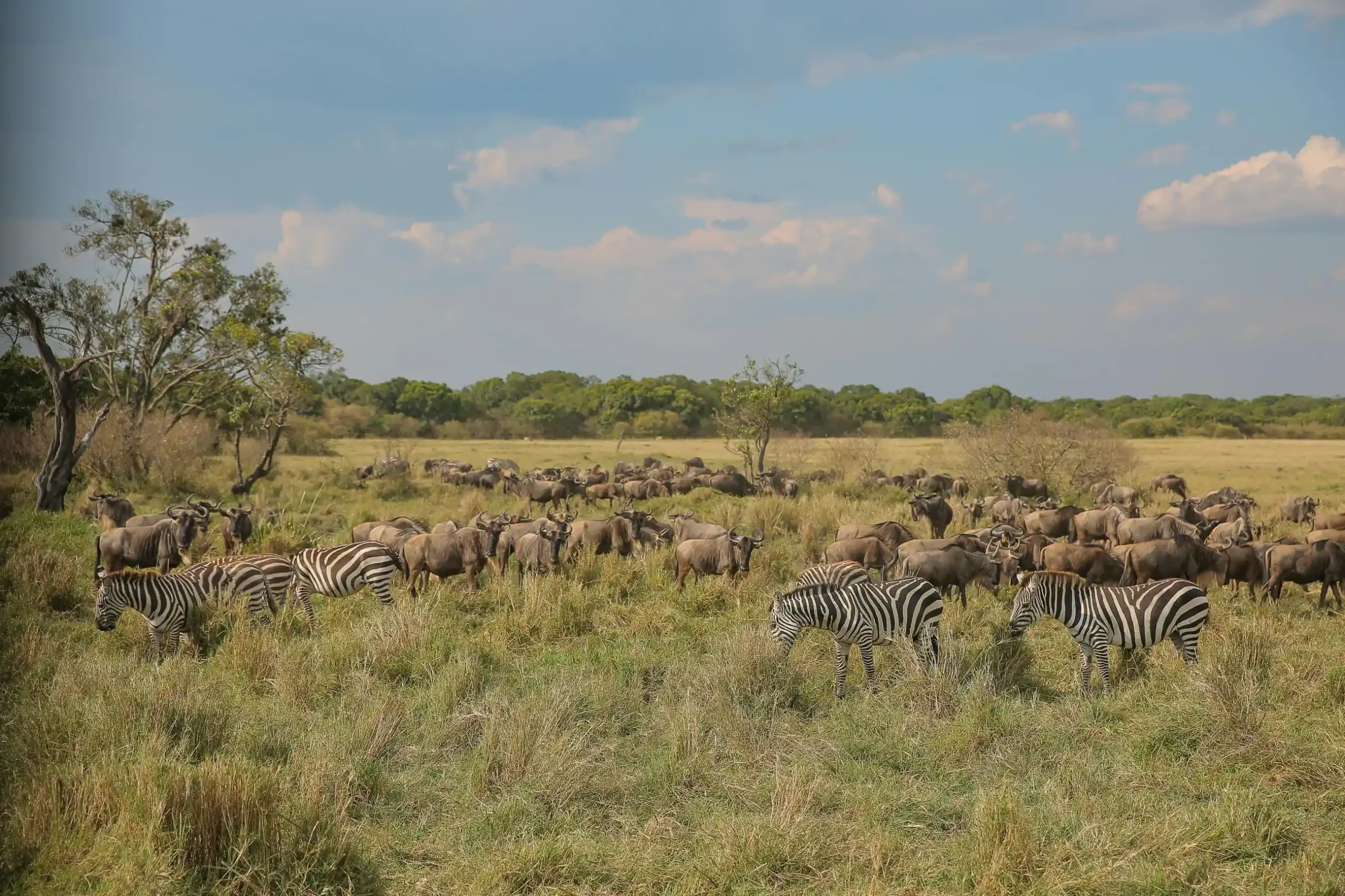 mara naibosho conservancy