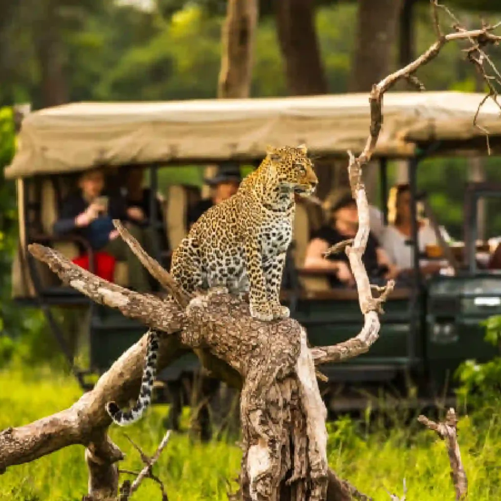 Top East Africa National Parks