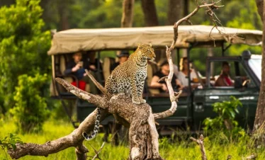 luxury kenya safari