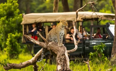 luxury kenya safari