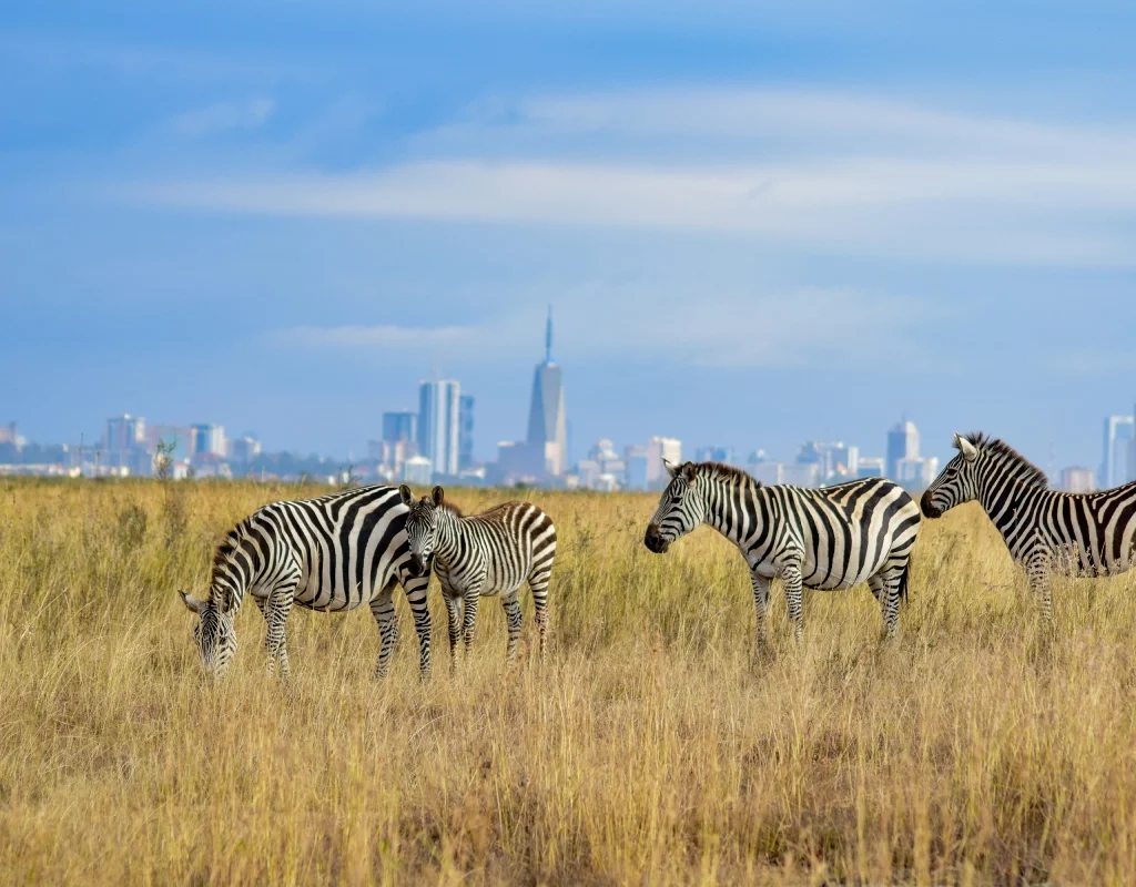 nairobi national park