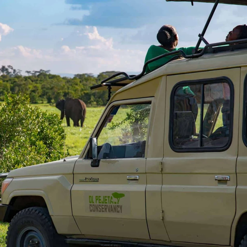 ol pejeta kenya, ol pejeta conservancy safari