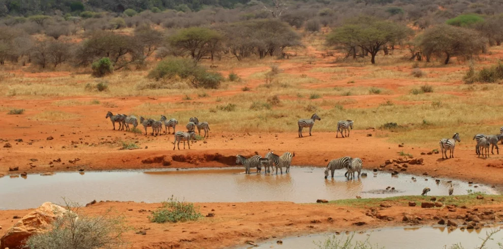 2-Day Taita Hills Wildlife Sanctuary Train Package, taita hills safari