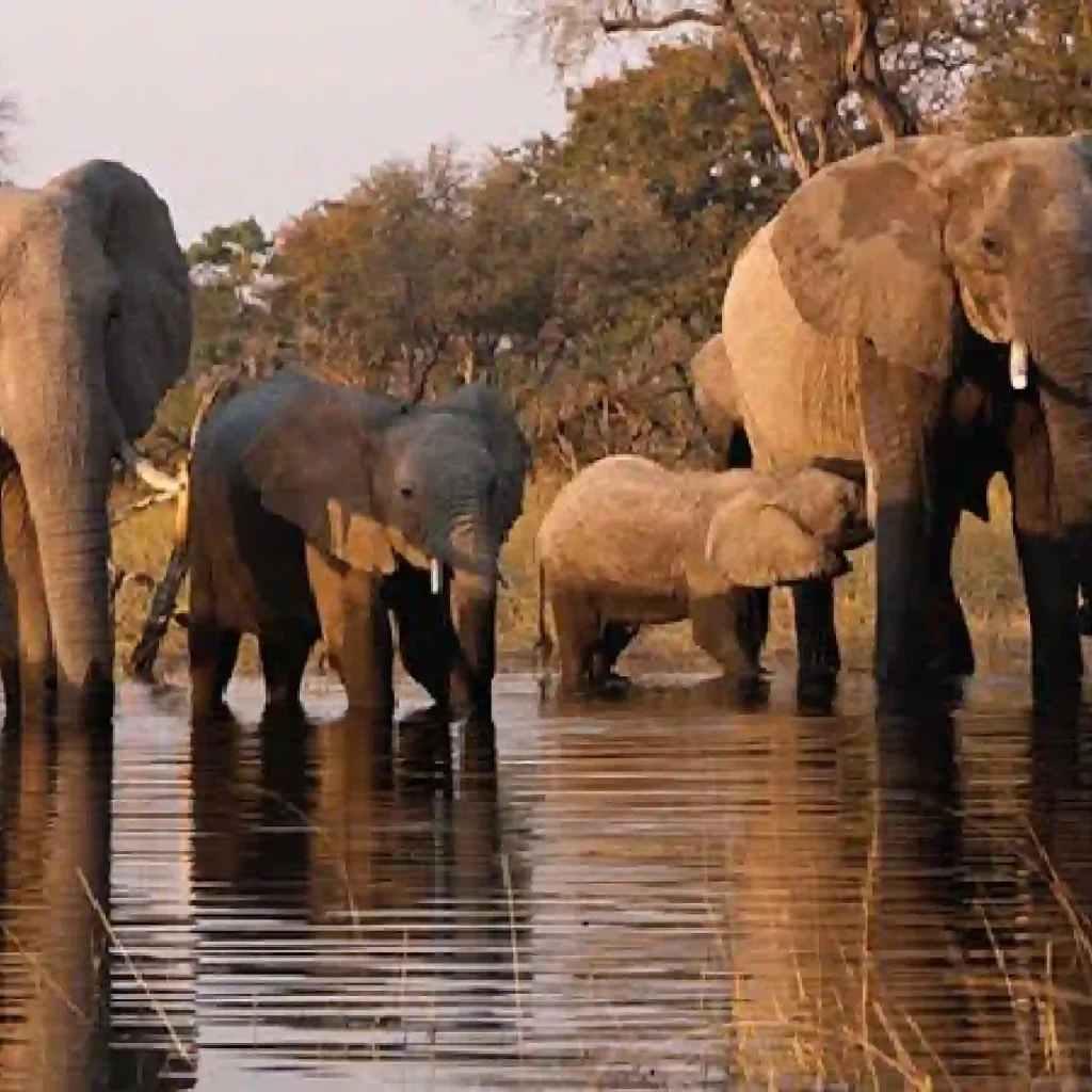 Marsabit National Park Safari Online Booking at Crystal Tours Kenya