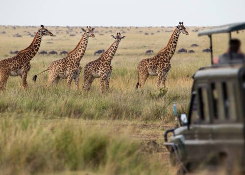 Top East Africa National Parks