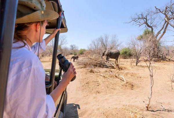 Kenya conservation safari, Amboseli Safari Booked Online, African wildlife safari, Through Crystal Tours Kenya, Kenya wildlife safari, responsible tourism in Kenya