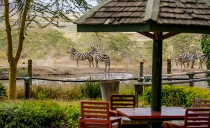 Ultimate 3-Day Lake Nakuru Safari _ Rhinos, flamingoes & big game