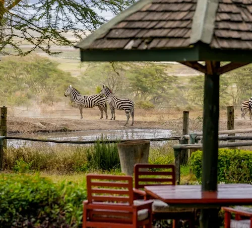 Ultimate 3-Day Lake Nakuru Safari _ Rhinos, flamingoes & big game