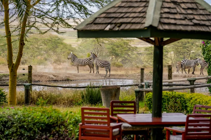 Ultimate 3-Day Lake Nakuru Safari _ Rhinos, flamingoes & big game