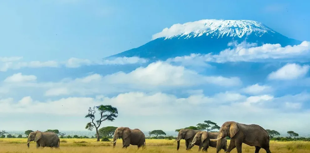 Mount Kilimanjaro safari