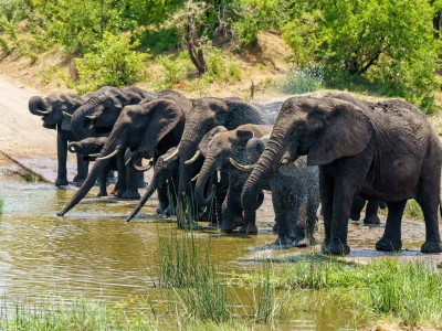 Reserves, Conservancies & National Parks in East Africa | Ultimate Safari Guide