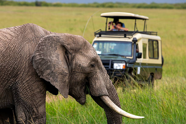 African overland safari tours, luxury masai mara safari, 7 day kenya and tanzania luxury safari, masai mara luxury safari, kenya luxury safari package, kenya tanzania safari package