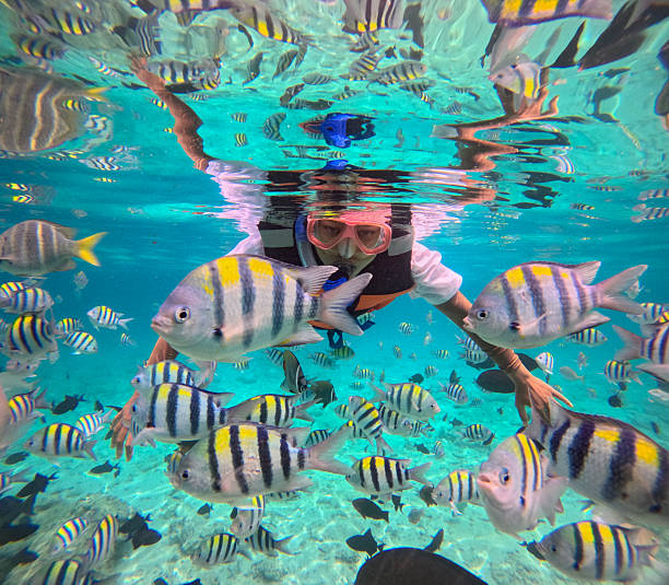 Snorkeling in Diani with Crystal Tours Kenya
