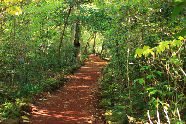 Visit Shimba Hills by crystal tours kenya