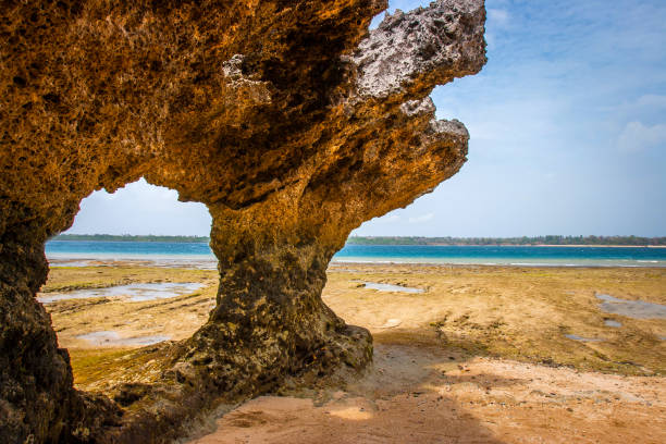 Wasini Island​ trip by crystal tours kenya